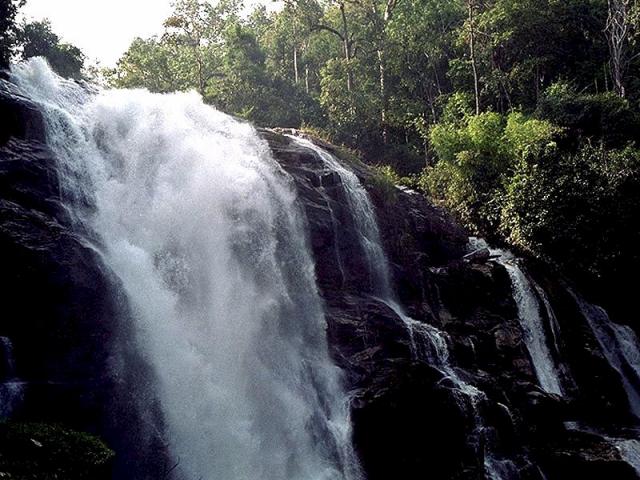 nature139.JPG