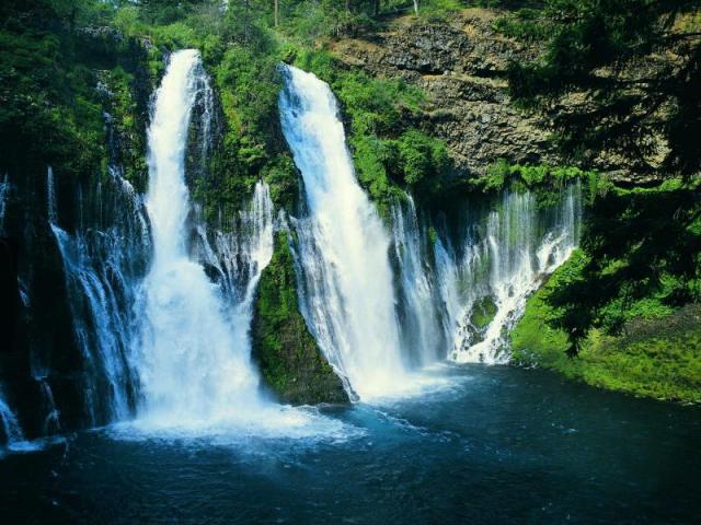 nature163.JPG