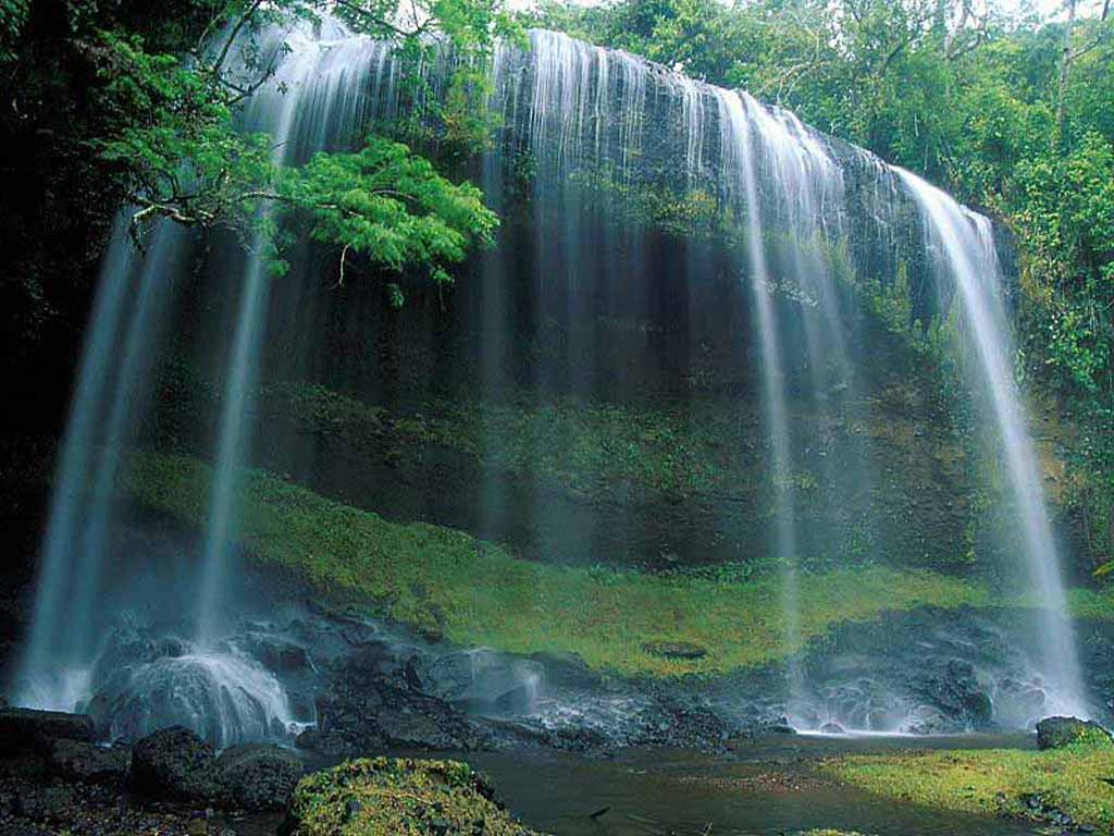 nature192.JPG