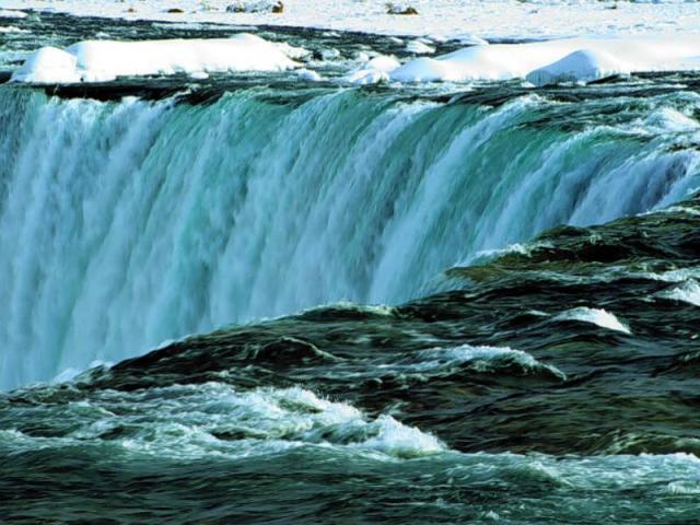 nature194.JPG