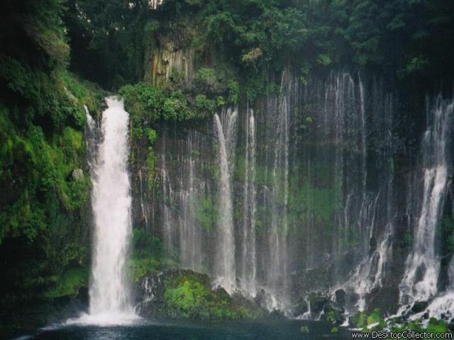 Nature_05.jpg