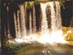 Nature_23.jpg