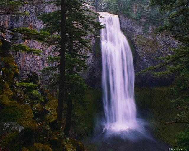 tree_falls.jpg