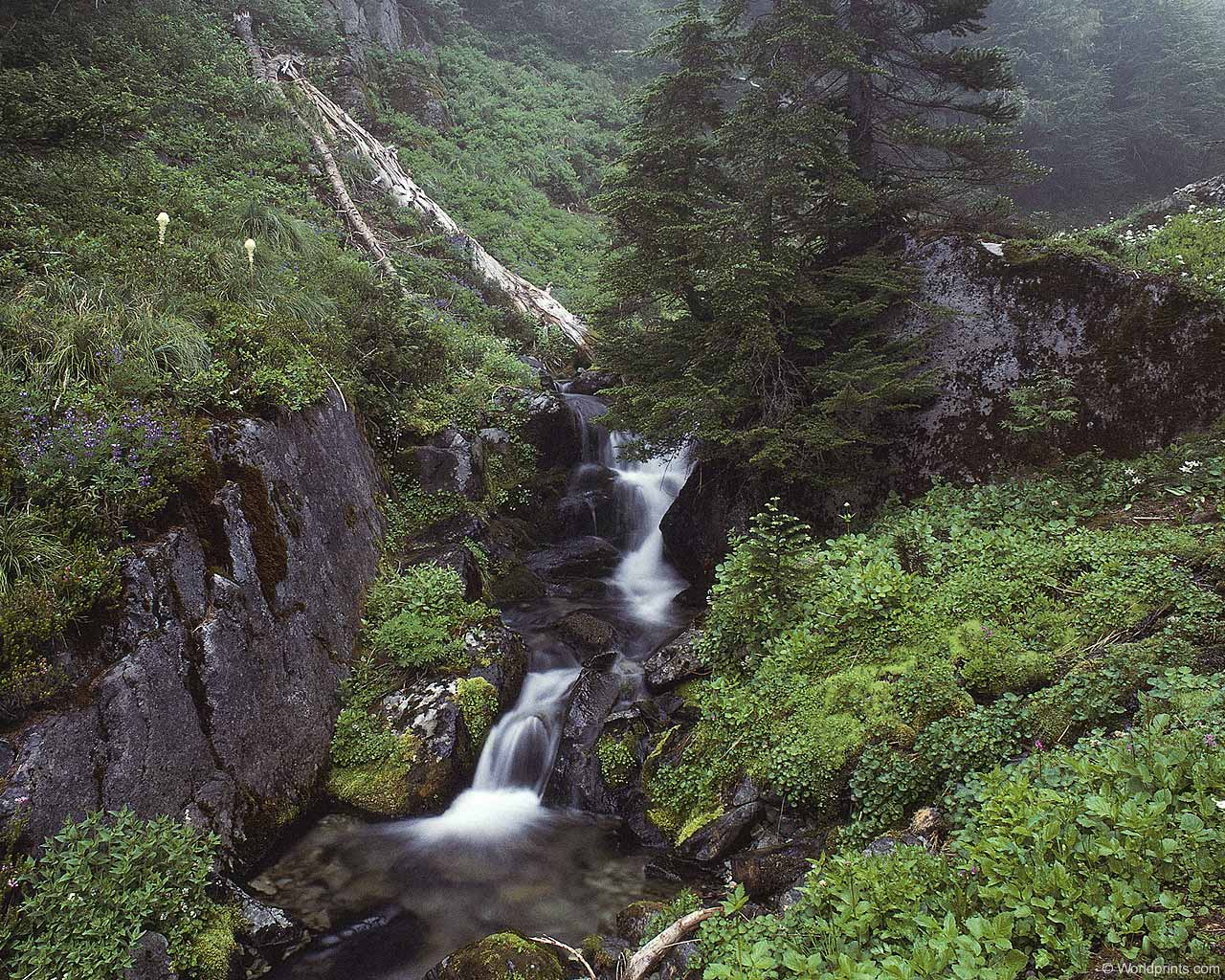 waterfall006.jpg