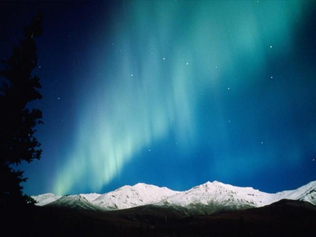 nature245.jpg
