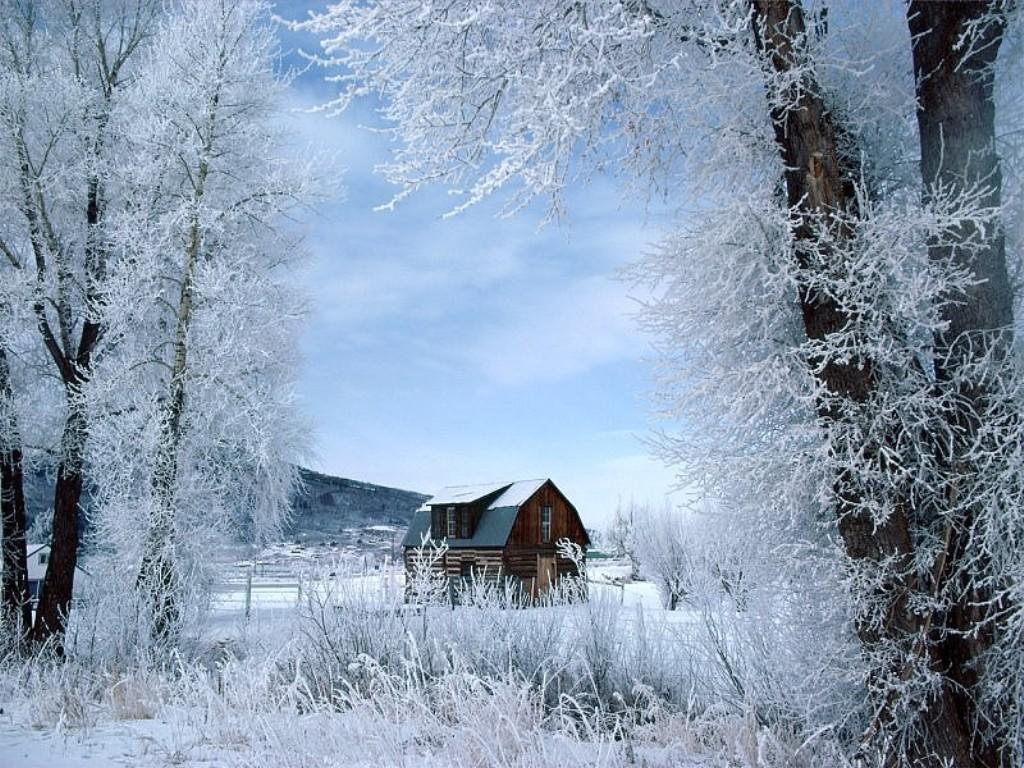 nature76.jpg