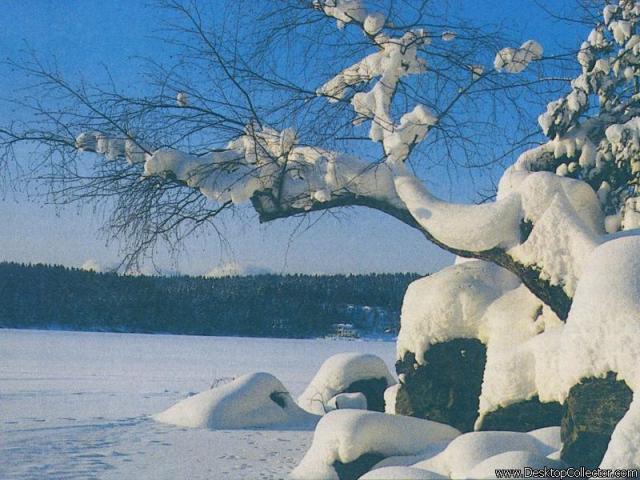 Nature_12.jpg