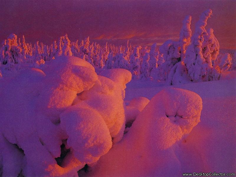 Nature_14.jpg