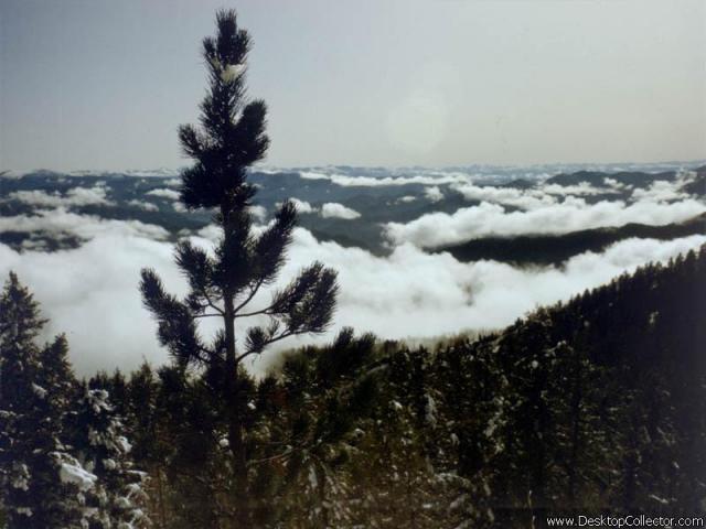 Nature_21.jpg