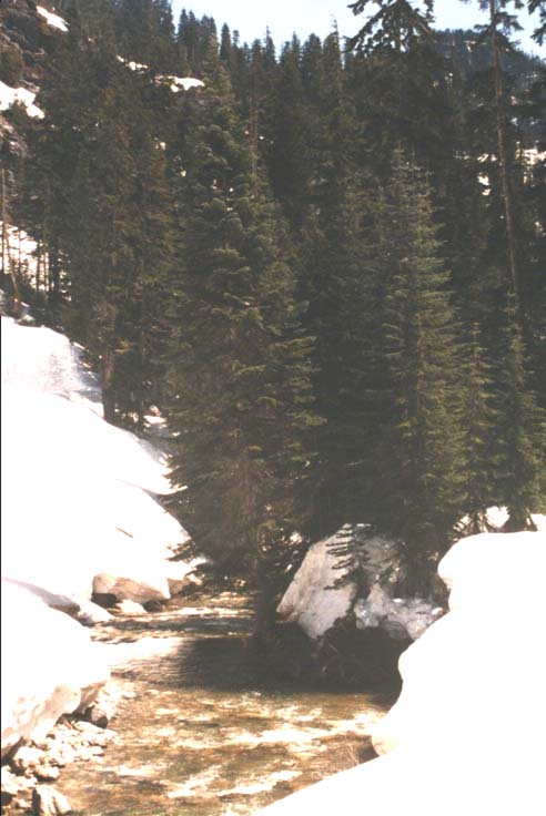 RIVER.JPG
