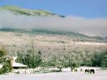 Winter_04.jpg