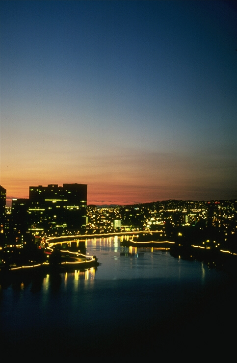 城市的夜景照片