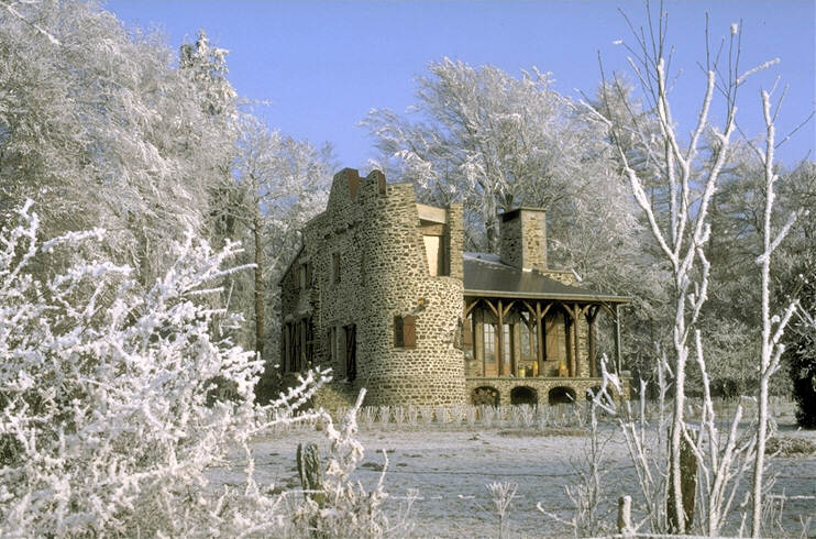 Picture with house in the winter forest