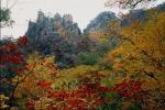 Photo of the autumn landscape