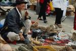 Asian market - merchant of roots