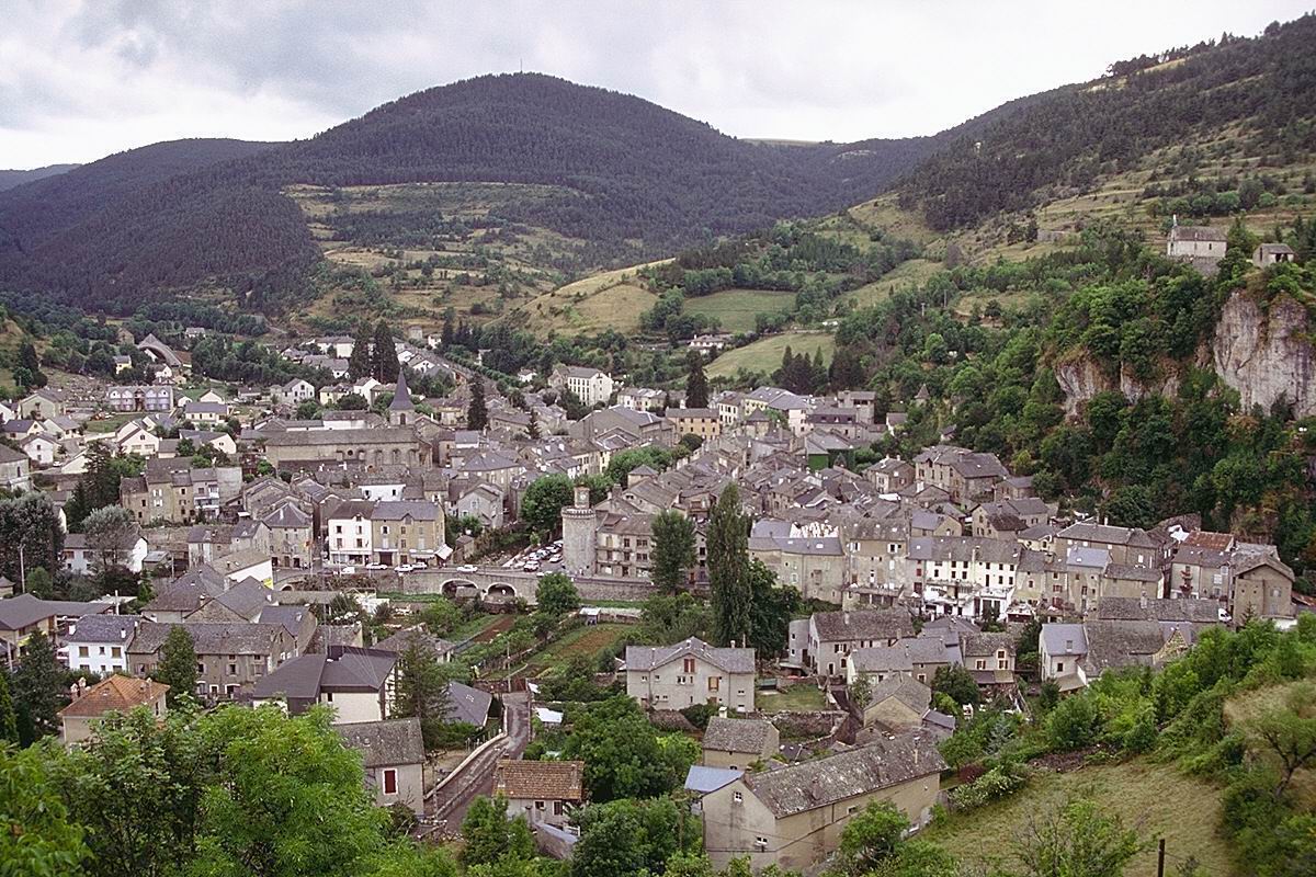 IMG0142.jpg