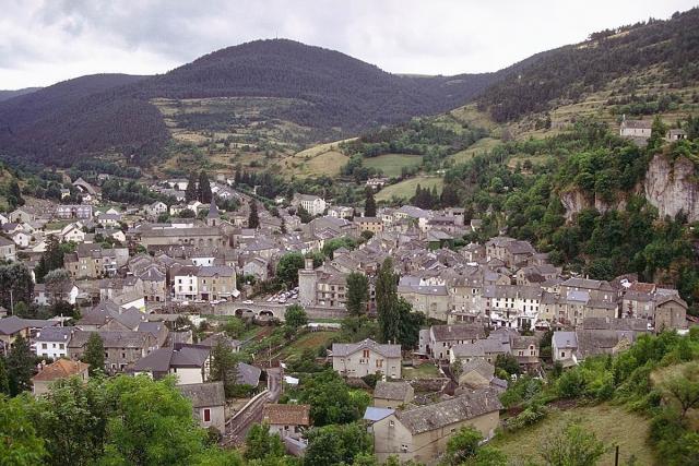 IMG0142.jpg