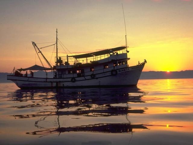 image06.jpg