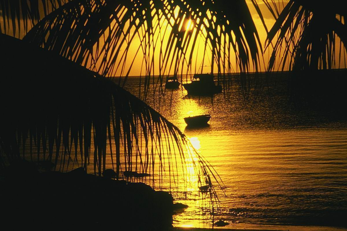 IMG0080.jpg
