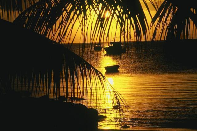 IMG0080.jpg