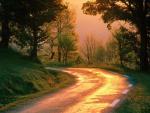 nature115.jpg