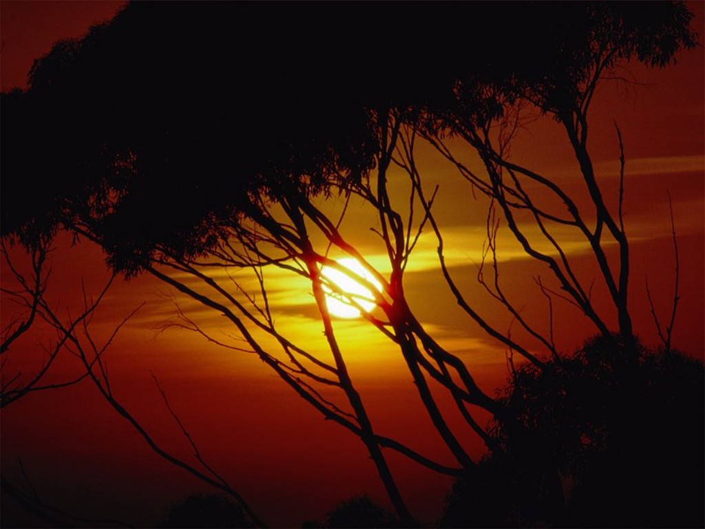nature162.jpg