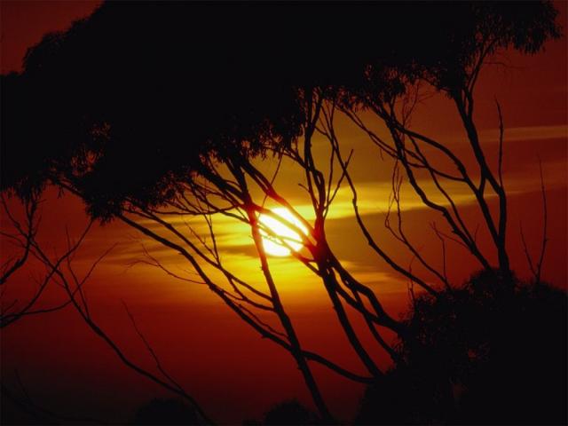 nature162.jpg