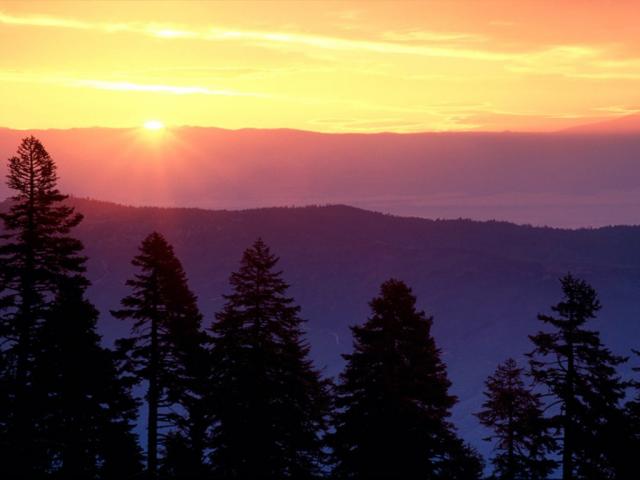 nature176.jpg