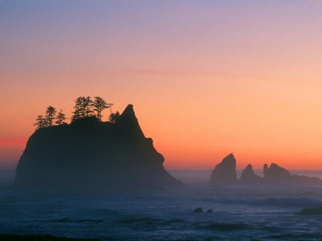 nature196.jpg