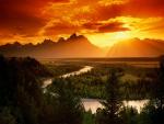nature197.jpg