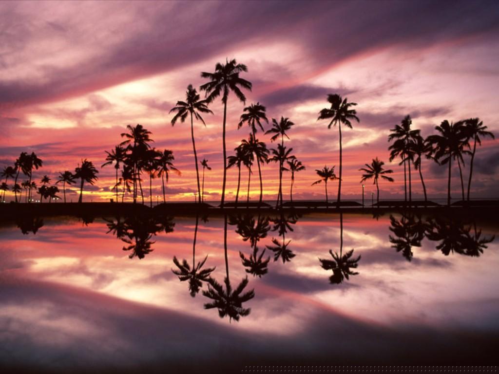 nature213.jpg