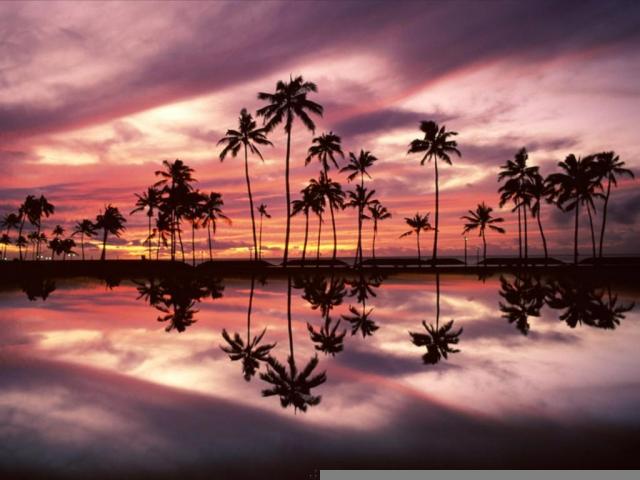 nature213.jpg
