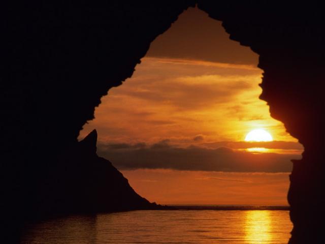 nature220.jpg