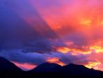 nature226.jpg