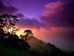 nature227.jpg