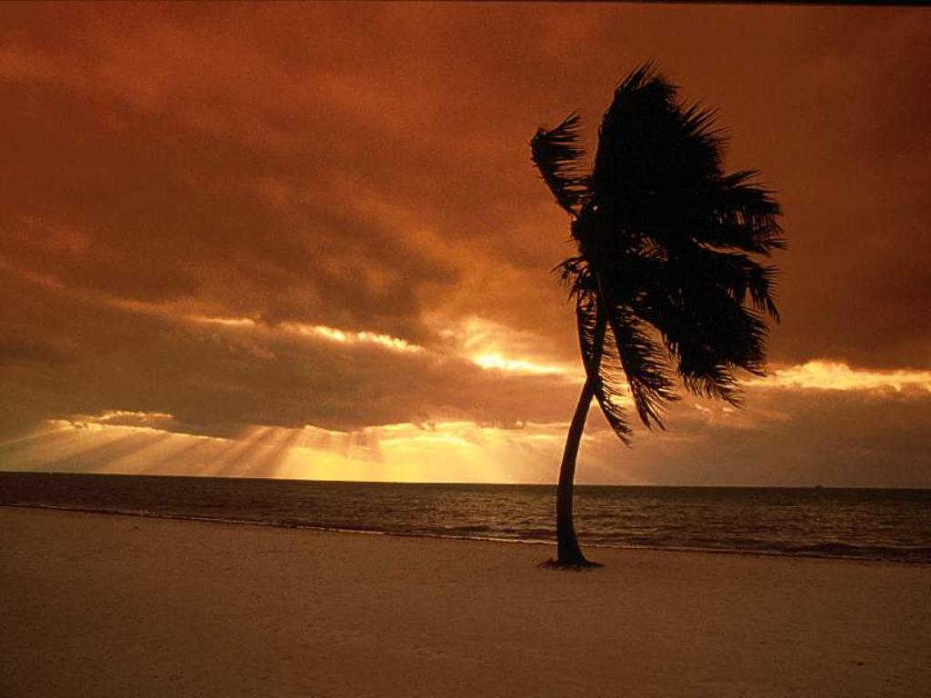 nature228.JPG