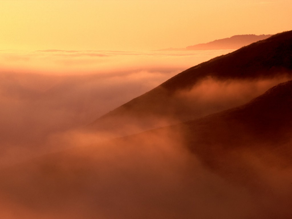 nature236.jpg