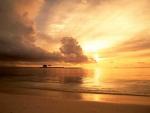nature239.jpg