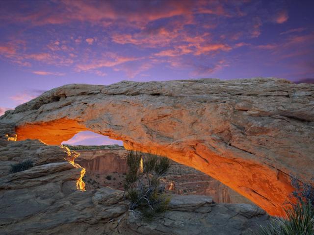 nature71.jpg