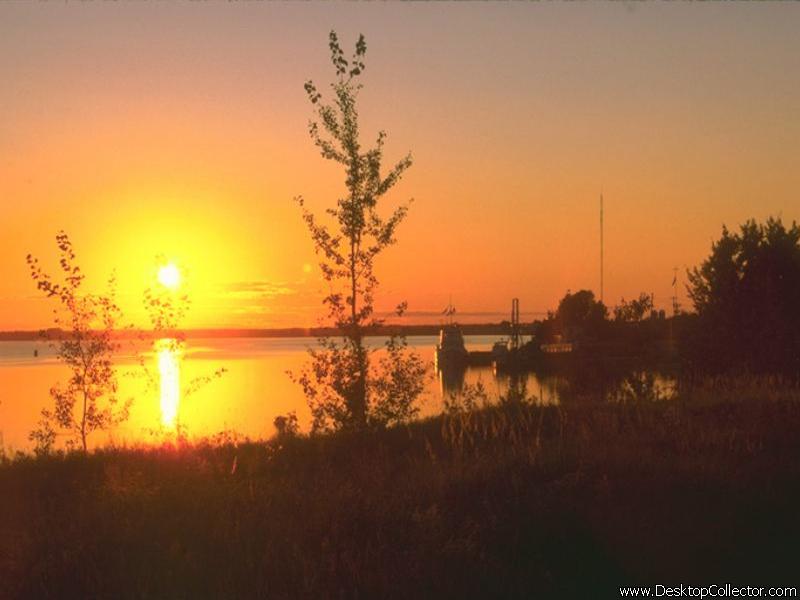 Nature_18.jpg