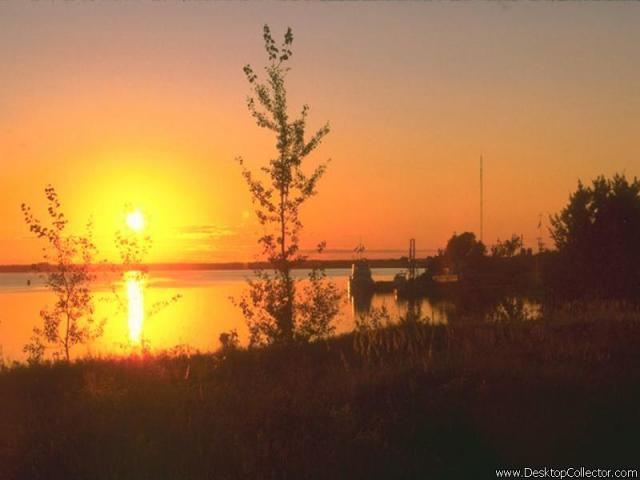 Nature_18.jpg