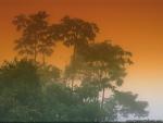 Nature_25.jpg