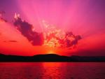 Purple Sunset.JPG