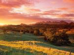 Rolling Australian Hills.JPG