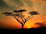 Saburu Hills Sunrise_ Samburu Game Reservation_ Kenya.JPG