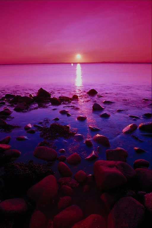 seasunset51.jpg