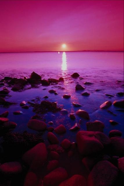 seasunset51.jpg