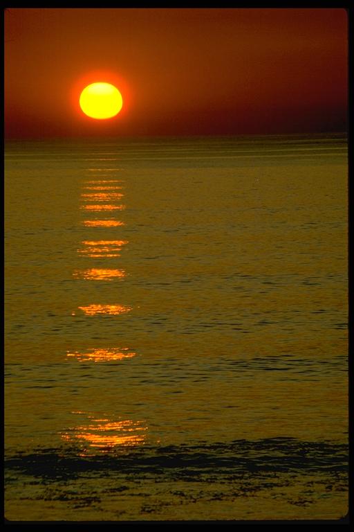 seasunset68.jpg