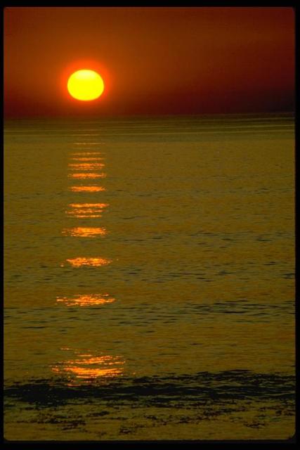 seasunset68.jpg