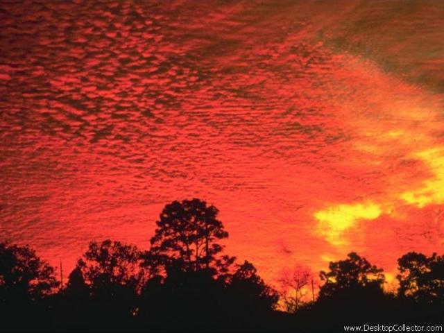 Sky_25.jpg
